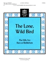 Lone Wild Bird