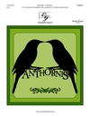 Anthornis