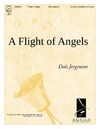 Flight of Angels, A