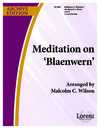 Meditation on Blaenwern